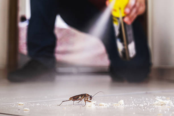 Pest Control for Restaurants